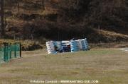 DSC_0006 (3)